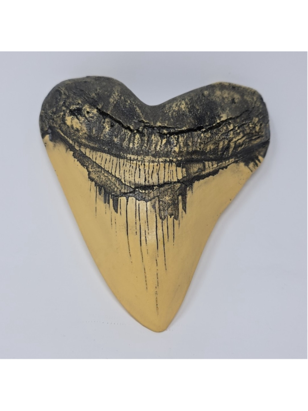 Resin 5.5" Replica Prehistoric MEGALODON Shark Tooth